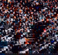 Semi Permanent - Accommodation Main Beach