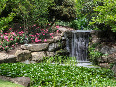 Spring Time At Hunter Valley Gardens - Accommodation Main Beach 1