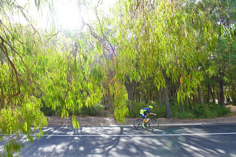 SunSmart FunMan Triathlon - Accommodation Main Beach 0