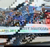 The Grey Mardi Gras - Accommodation Main Beach