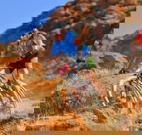 The Redback - Accommodation Main Beach