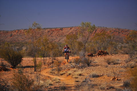 The Redback - Accommodation Main Beach 2