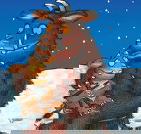 The Gruffalos Child - Accommodation Main Beach