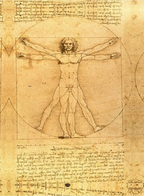 The Real Da Vinci Code - Accommodation Main Beach 0