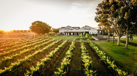 Aged Wine And Vintage Pies - Accommodation Main Beach 2