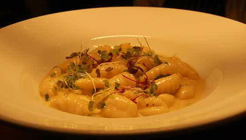 Aquacotta Italian Restaurant - Accommodation Main Beach 1