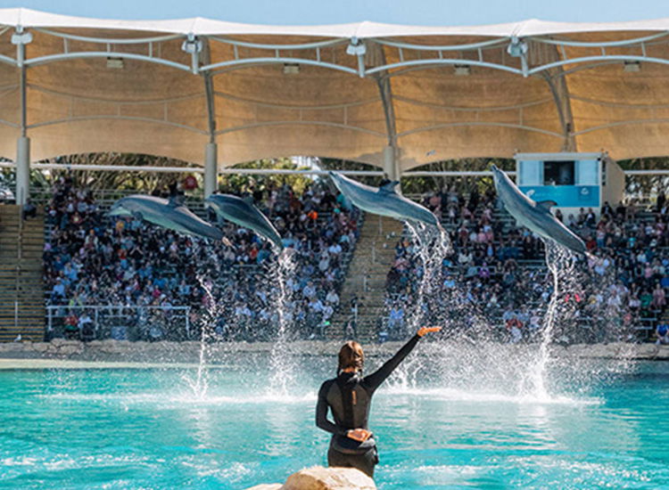 Main Beach Attractions