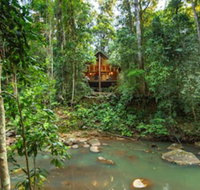 The Canopy Rainforest Treehouses and Wildlife Sanctuary - Accommodation Main Beach