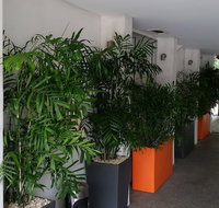 Quality Inn Airport Heritage - Accommodation Main Beach