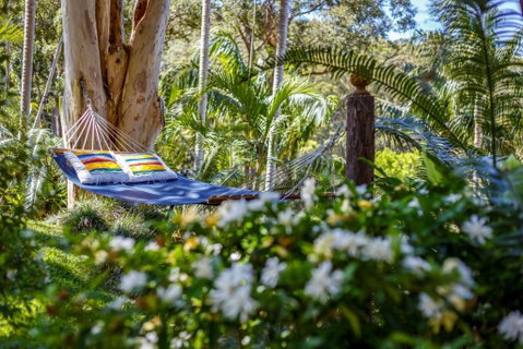 Sensom Luxury Bed & Breakfast - Accommodation Main Beach 3