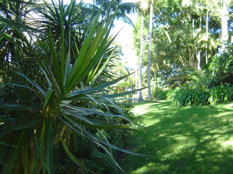 Sensom Luxury Bed & Breakfast - Accommodation Main Beach 2