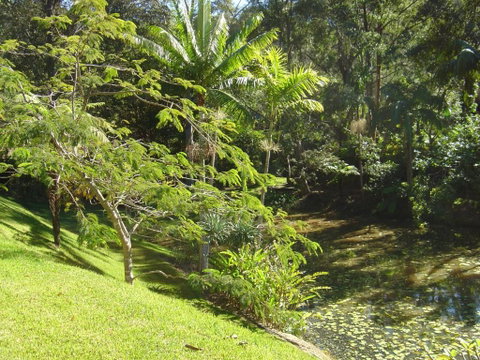 Sensom Luxury Bed & Breakfast - Accommodation Main Beach 5