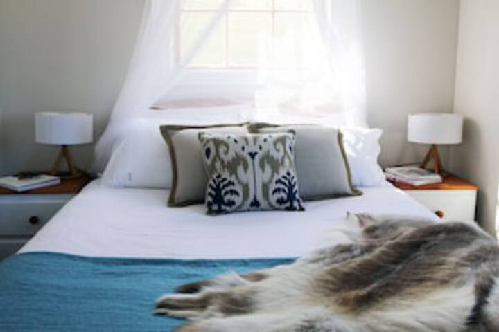 Sidmouth TAS Accommodation Main Beach