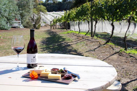 Every Man & His Dog Vineyard - Accommodation Main Beach 3