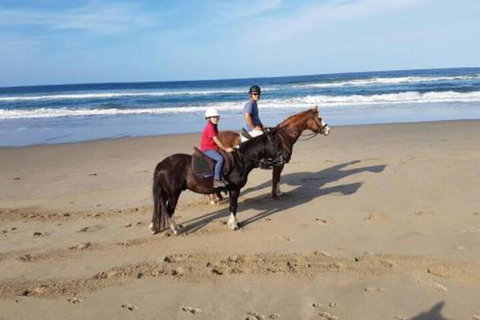 Nautica - Accommodation Main Beach 1