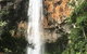 Purling Brook Falls Gwongorella - thumb 2