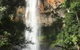 Purling Brook Falls Gwongorella - thumb 0