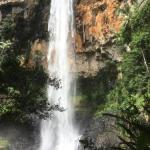 Purling Brook Falls Gwongorella - Accommodation Main Beach 0