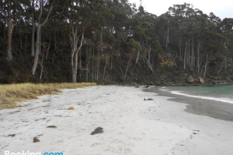 Bruny Ocean Cottage - Accommodation Main Beach 5
