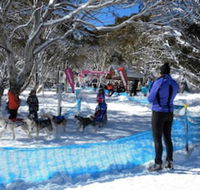 Cloud 9 Alpine Lodge - Accommodation Main Beach