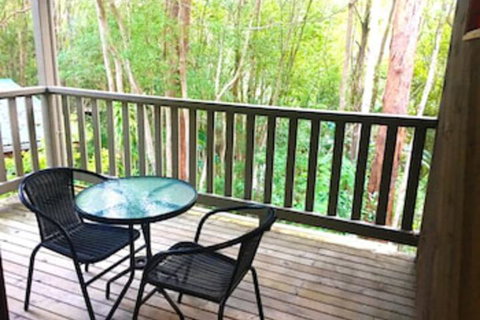Ecostudio Fellini - Accommodation Main Beach 0