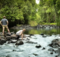 Sharlynn by the River - Accommodation Main Beach