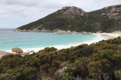Zephyr Studio - Accommodation Main Beach 6