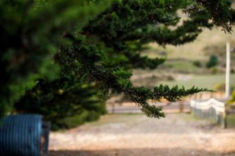 Wattle Grove Homestead Bed & Breakfast - Accommodation Main Beach 5