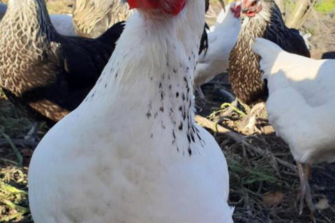 Lockleigh Park - Accommodation Main Beach 3