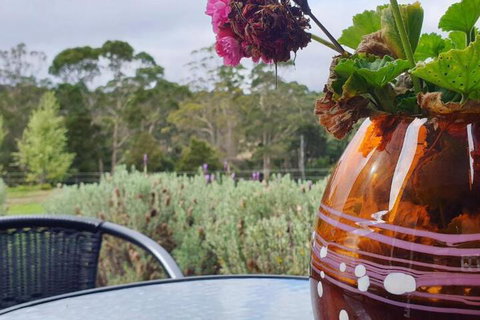 Lockleigh Park - Accommodation Main Beach 6