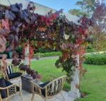 The Cottage - Accommodation Main Beach