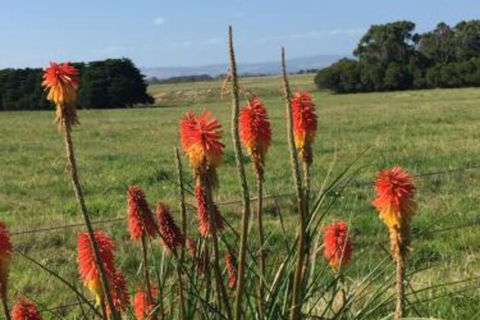 Yanakie Holiday House - Accommodation Main Beach 7