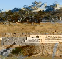 Ecocrackenback 16 'Sustainable chalet close to the slopes.' - Accommodation Main Beach