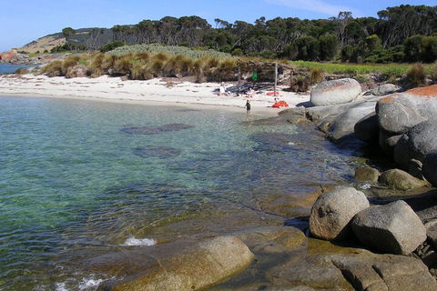 Sawyers Bay Shacks - Accommodation Main Beach 4