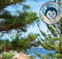 Mad Monkey Coogee Beach Hostel - Accommodation Main Beach