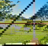 Curra Homestead Maleny - Accommodation Main Beach