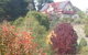 Abelia BIG SPA NO 1 Cottage - thumb 2