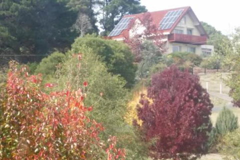 Abelia BIG SPA NO 1 Cottage - Accommodation Main Beach 2