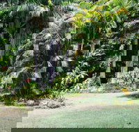 Sanctuary in The Pocket - Accommodation Main Beach