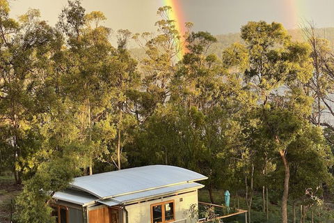 Free Spirit Pods - Accommodation Main Beach 4