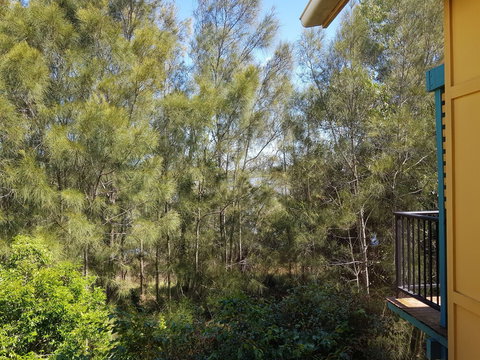 Noosa Holiday Accommodation - Accommodation Main Beach 1