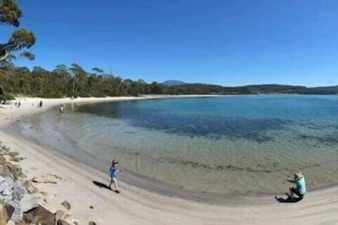 Mountain View Motel - Accommodation Main Beach 7