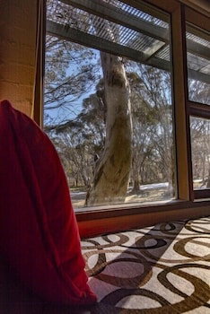 Snowgums 07 - Accommodation Main Beach 0