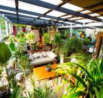 Jaspers Apartments - Accommodation Main Beach