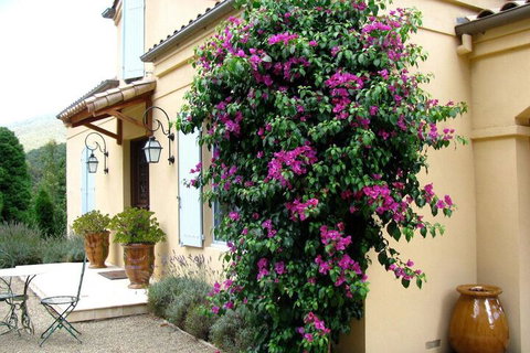 Casa Valeri - Accommodation Main Beach 3