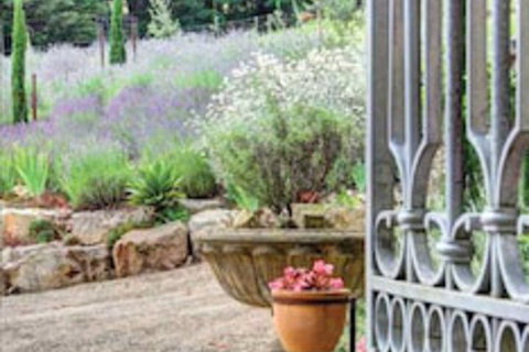 Casa Valeri - Accommodation Main Beach 2