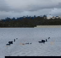 Lake Yalleena Nature Retreat - Accommodation Main Beach