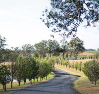 voco Kirkton Park Hunter Valley  an IHG Hotel - Accommodation Main Beach