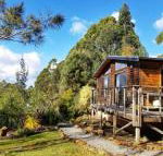 Southern Forest Accommodation - Accommodation Main Beach