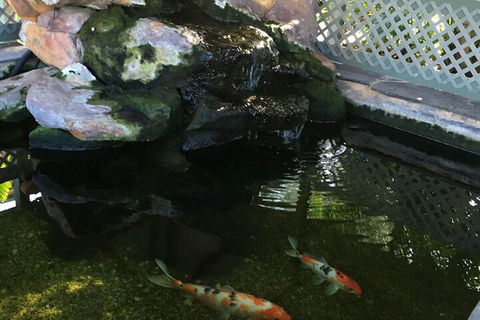 Quality Inn The Willows - Accommodation Main Beach 3